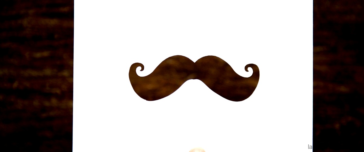 Come disegnare la barba sul viso: guida completa 5