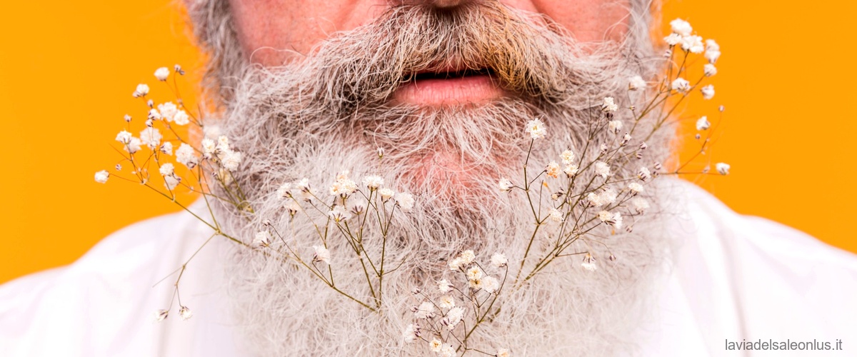 Domanda: Come valorizzare una barba bianca?