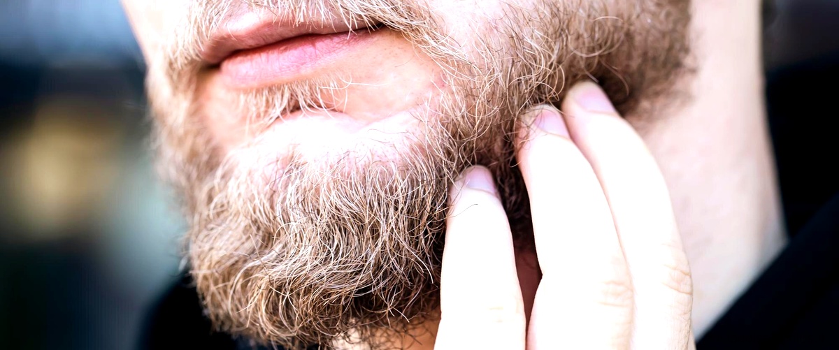 Quale regola per la barba comprare? Quale regola per la barba comprare?